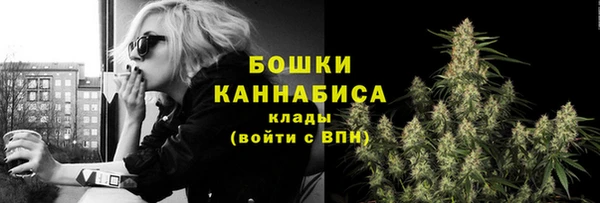 прущий лед Горно-Алтайск