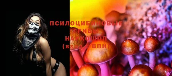 ГАЛЛЮЦИНОГЕННЫЕ ГРИБЫ Нефтекумск