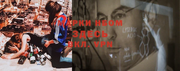 стафф Медвежьегорск